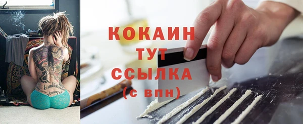 индика Баксан