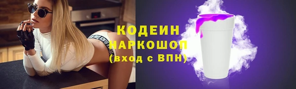 индика Баксан