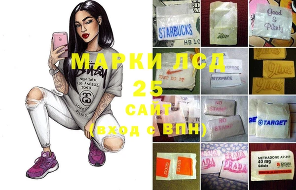 индика Баксан
