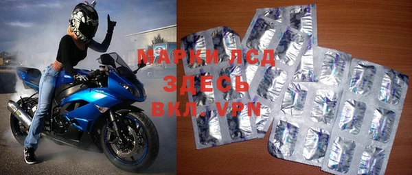 индика Баксан