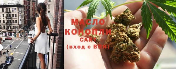 индика Баксан