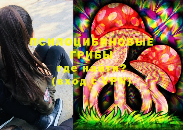 индика Баксан