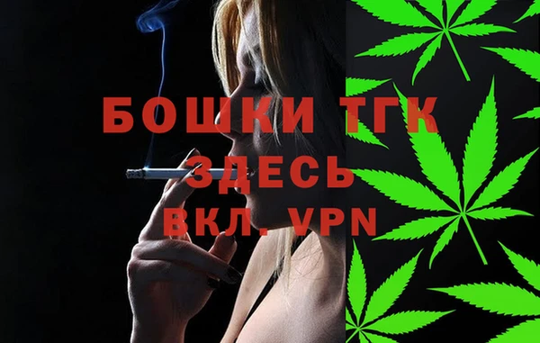 индика Баксан